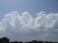 /album/fenykepgaleria/gomoly3-jpg/