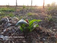 /album/fenykepgaleria/a20200404-070355-jpg1/