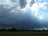 /album/fenykepgaleria/zivi-jpg/